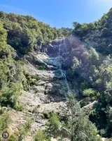 Les Galopins en Corse