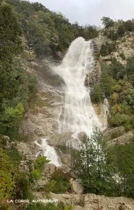 Les Galopins en Corse