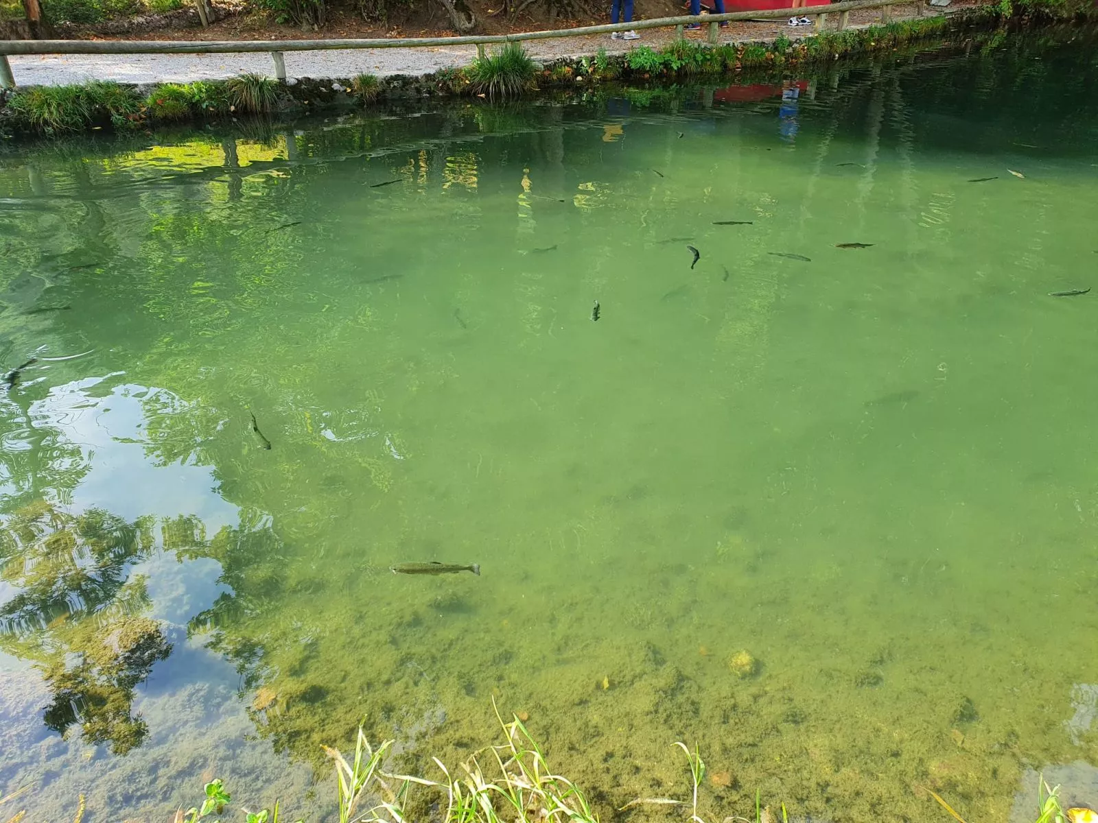Sortie pêche et balade 2020