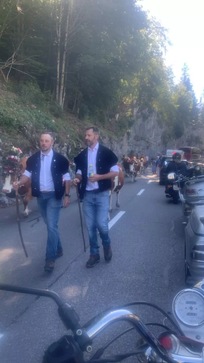 Sortie d'automne 2026