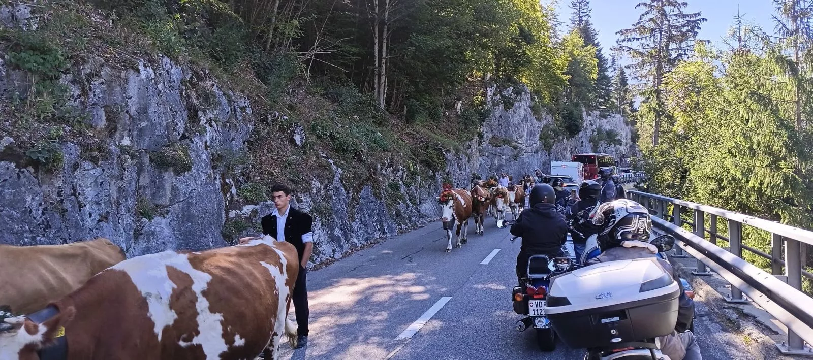 Sortie d'automne 2026